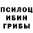 Галлюциногенные грибы мухоморы Johan Bee